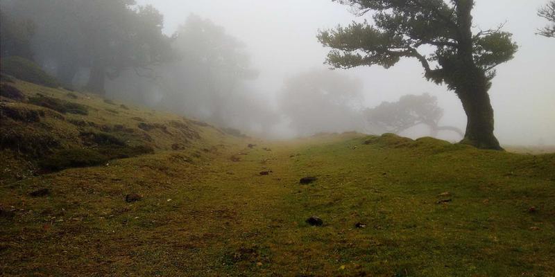 宇海FRP32：揭秘高性能玻璃钢格栅如何重塑工业安全与效率新标准