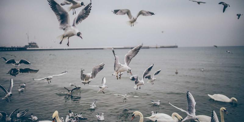 宇海FRP冷却塔填料：技术革新如何实现节能效率的跨越式提升？