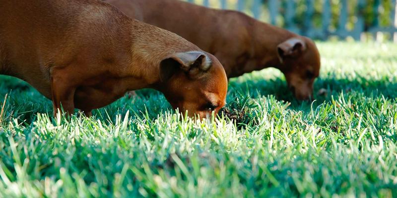 宇海FRP化工厂房防腐系统：一体化墙板与屋顶设计安装全解析