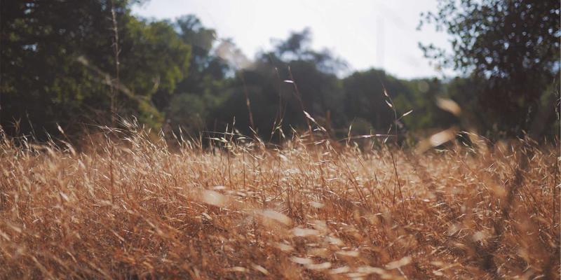 宇海FRP：破解污水处理池盖板密封与腐蚀难题的终极方案